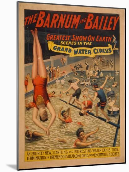 The Barnum and Bailey Greatest Show on Earth. Scenes in the Grand Water Circus, C. 1895-null-Mounted Giclee Print