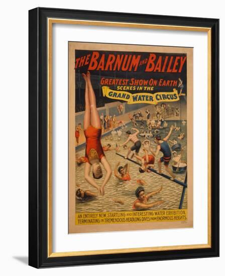 The Barnum and Bailey Greatest Show on Earth. Scenes in the Grand Water Circus, C. 1895-null-Framed Giclee Print