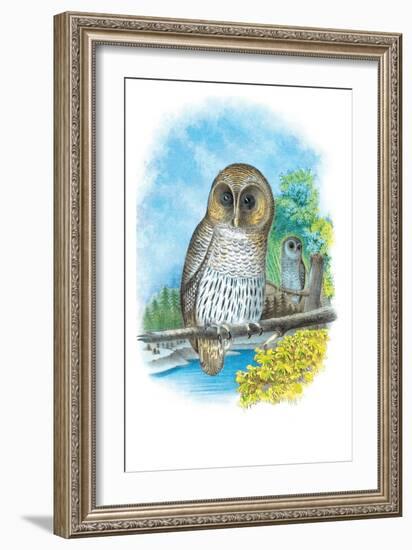 The Barred Owl-Theodore Jasper-Framed Art Print