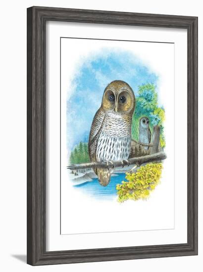 The Barred Owl-Theodore Jasper-Framed Art Print