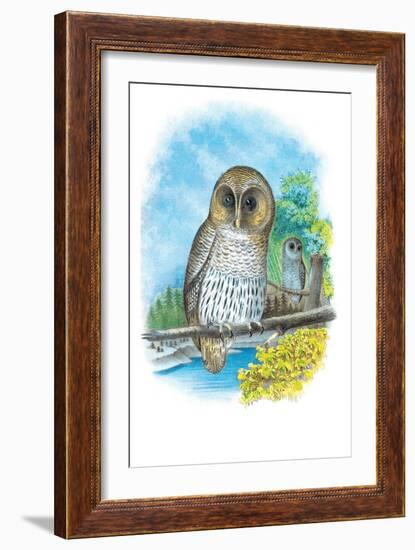 The Barred Owl-Theodore Jasper-Framed Art Print