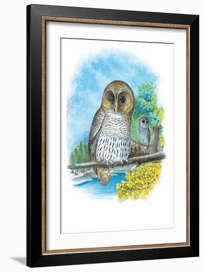 The Barred Owl-Theodore Jasper-Framed Art Print