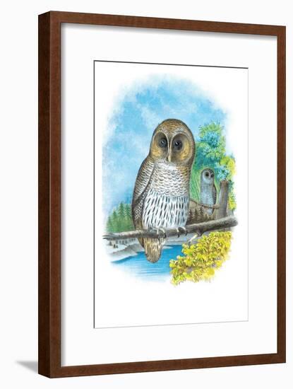 The Barred Owl-Theodore Jasper-Framed Art Print