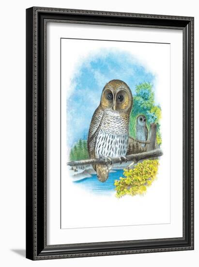 The Barred Owl-Theodore Jasper-Framed Art Print