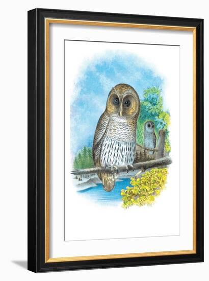 The Barred Owl-Theodore Jasper-Framed Art Print