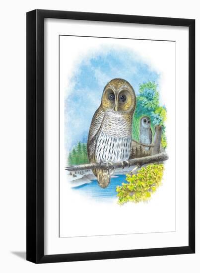 The Barred Owl-Theodore Jasper-Framed Art Print