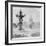 The Bartholdi Fountain and the Capitol, Washington DC, USA, Late 19th or Early 20th Century-null-Framed Photographic Print