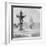 The Bartholdi Fountain and the Capitol, Washington DC, USA, Late 19th or Early 20th Century-null-Framed Photographic Print