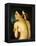 The Bather, 1807-Jean-Auguste-Dominique Ingres-Framed Premier Image Canvas