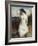The Bather-William Etty-Framed Giclee Print