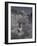 The Bathers; La Baignade-Etienne Alphonse Dinet-Framed Giclee Print