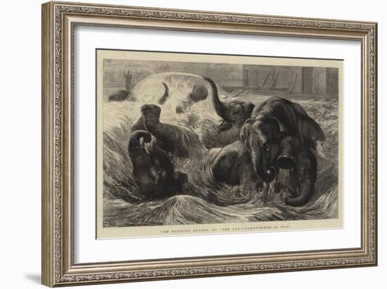 The Bathing Season at The Zoo, Pachyderms at Play-null-Framed Giclee Print