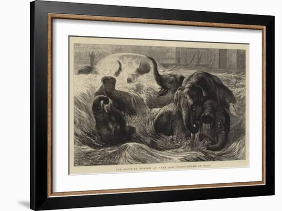 The Bathing Season at The Zoo, Pachyderms at Play-null-Framed Giclee Print