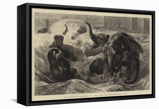 The Bathing Season at The Zoo, Pachyderms at Play-null-Framed Premier Image Canvas