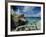 The Baths, Virgin Gorda, British Virgin Islands, Caribbean, West Indies, Central America-Gavin Hellier-Framed Photographic Print