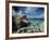 The Baths, Virgin Gorda, British Virgin Islands, Caribbean, West Indies, Central America-Gavin Hellier-Framed Photographic Print