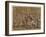 The Battle Between the Romans and the Sabines-Annibale Carracci-Framed Giclee Print