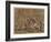 The Battle Between the Romans and the Sabines-Annibale Carracci-Framed Giclee Print