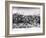 The Battle of Abu Klea, 17th January 1885, Illustration from 'Hutchinsons H-William Barnes Wollen-Framed Giclee Print