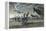 The Battle of Britain-Wilf Hardy-Framed Premier Image Canvas