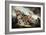 The Battle of Bunker Hill-John Trumbull-Framed Art Print