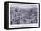 The Battle of Stamford Bridge Ad1066, 1920's-Alfred Pearse-Framed Premier Image Canvas