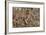 The Battle of Zama, by Giulio Romano-null-Framed Giclee Print