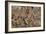 The Battle of Zama, by Giulio Romano-null-Framed Giclee Print