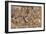 The Battle of Zama-Giulio Romano-Framed Giclee Print