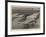 The Battleground of 1904-null-Framed Giclee Print