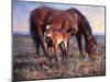 The Bay Filly-Jack Sorenson-Mounted Art Print