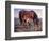 The Bay Filly-Jack Sorenson-Framed Art Print