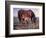 The Bay Filly-Jack Sorenson-Framed Art Print