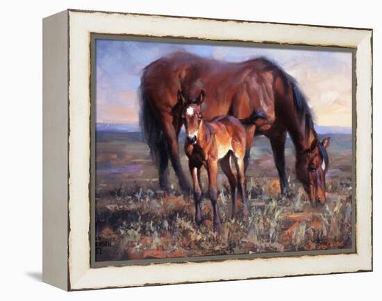 The Bay Filly-Jack Sorenson-Framed Stretched Canvas