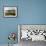 The Bay from the Clifftop at Catterline, Aberdeenshire, Scotland, United Kingdom, Europe-Mark Sunderland-Framed Photographic Print displayed on a wall