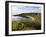 The Bay from the Clifftop at Catterline, Aberdeenshire, Scotland, United Kingdom, Europe-Mark Sunderland-Framed Photographic Print