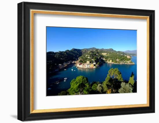 The Bay of Portofino Seen from Castello Brown, Genova (Genoa), Liguria, Italy, Europe-Carlo Morucchio-Framed Photographic Print