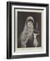 The Bayadere, Indian Dancing-Girl-Nathaniel Sichel-Framed Giclee Print