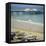 The Beach and Pier, Cromer, Norfolk, England, UK-G Richardson-Framed Premier Image Canvas