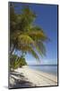 The beach at San Juan on the southwest coast of Siquijor, Philippines, Southeast Asia, Asia-Nigel Hicks-Mounted Photographic Print