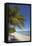 The beach at San Juan on the southwest coast of Siquijor, Philippines, Southeast Asia, Asia-Nigel Hicks-Framed Premier Image Canvas