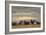 The Beach at Villerville, 1864 (Oil on Canvas)-Eugene Louis Boudin-Framed Giclee Print