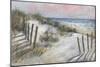 The Beach Fence II-David Swanagin-Mounted Art Print