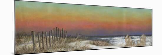 The Beach Fence III-David Swanagin-Mounted Art Print