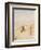 The Beach, Ostende-Alfred Emile Stevens-Framed Giclee Print