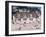 The Beach, Trouville, Basse Normandie (Normandy), France-Guy Thouvenin-Framed Photographic Print