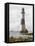 The Beachy Head Lighthouse Stands on Rocks Offshore Below the Celebrated Cliffs-null-Framed Premier Image Canvas