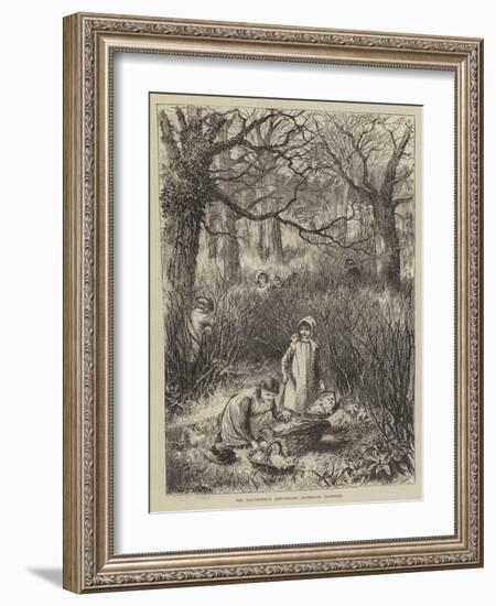 The Beaconsfield Anniversary, Gathering Primroses-null-Framed Giclee Print