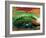 The Bean, Chicago-Sisa Jasper-Framed Photographic Print