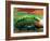 The Bean, Chicago-Sisa Jasper-Framed Photographic Print